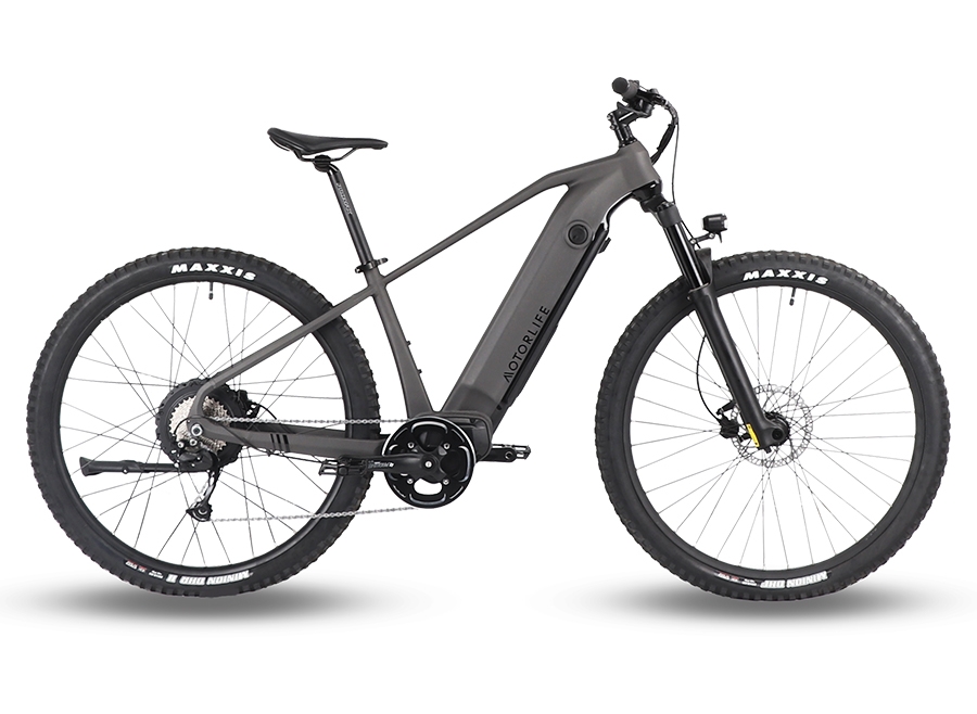 Mammoth MTB